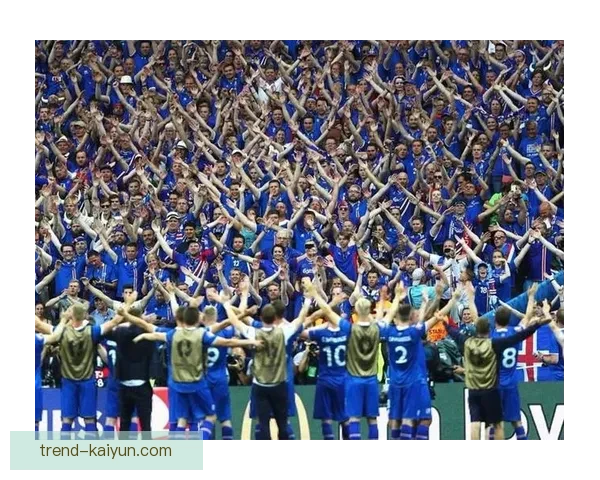 冰岛2018俄罗斯世界杯表现值得关注，球队状态展现潜力。